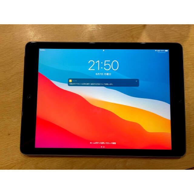 新品定番 iPad 128GB セルラー SIMフリー 第五世代 新品限定品 - www.tutores.escasto.ipn.mx