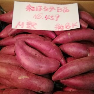 超お得!!　訳あり☆限定品☆ねっとり甘い貯蔵品紅はるかB品約８Kです。(野菜)