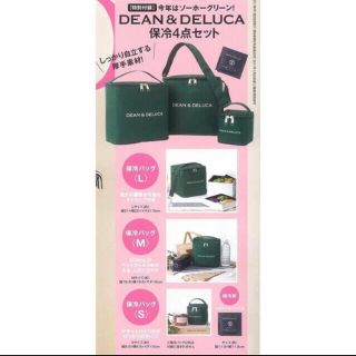 ディーンアンドデルーカ(DEAN & DELUCA)のDEAN＆DELUCA 保冷 ４点セット　保冷バッグ 保冷剤　未開封品　グリーン(その他)