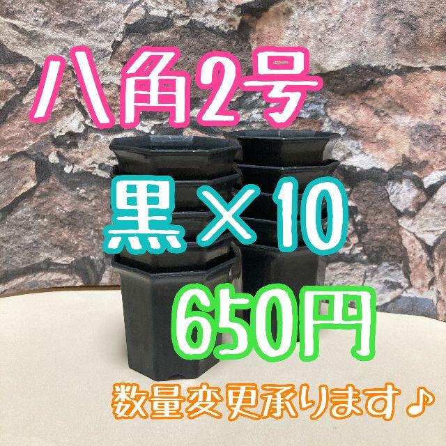 八角鉢 ◎10個◎ ブラック 2号 2寸 プラ鉢 ミニ鉢 シャトル ハンドメイドのフラワー/ガーデン(プランター)の商品写真