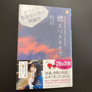 燃えつきるまで(文学/小説)