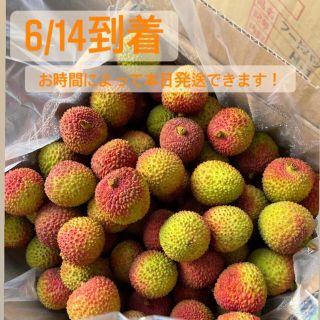 ライチ　生ライチ　妃子笑　2kg クール便込み(フルーツ)