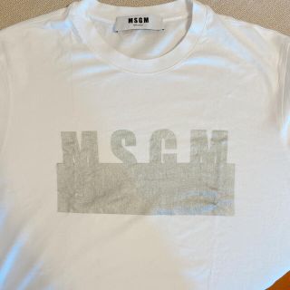 エムエスジイエム(MSGM)のMSGM Tシャツ　シルバー、ホワイト(Tシャツ(半袖/袖なし))