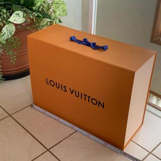 ルイヴィトン(LOUIS VUITTON)のLOUIS VUITTON  空箱　送料込み！(ショップ袋)