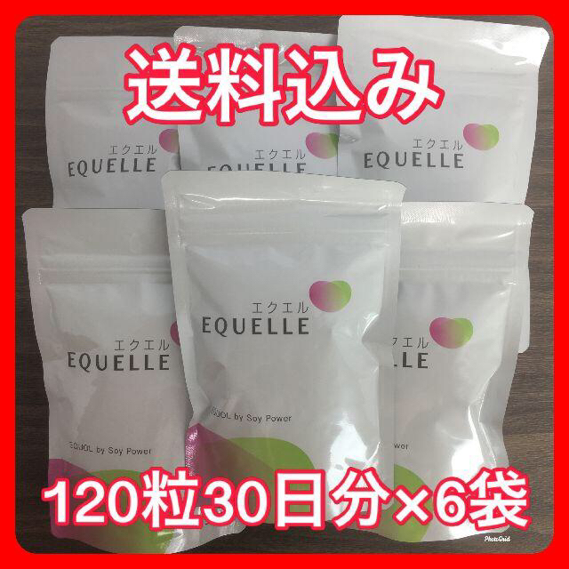 EQUELLE エクエル パウチ 120粒30日分×6袋 新品未開封 送料込み