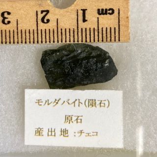 チェコ産★モルダバイト　原石　ケース入り標本(その他)