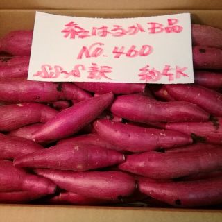 超お得!!　訳あり☆限定品☆ねっとり甘い貯蔵品紅はるかB品約５Kです。(野菜)