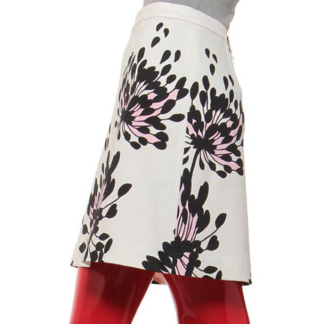 DOUBLE STANDARD CLOTHING(ダブルスタンダードクロージング)のダブルスタンダード ソブ レディースのスカート(ミニスカート)の商品写真