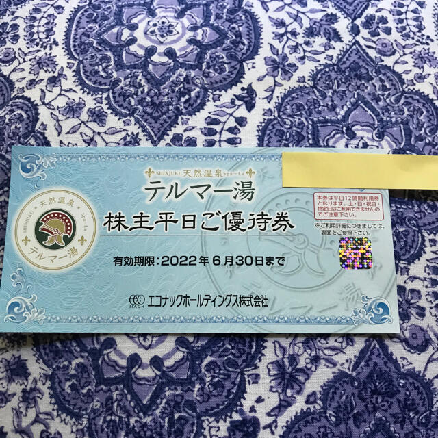テルマー湯 平日ご優待券 1枚 | energysource.com.br