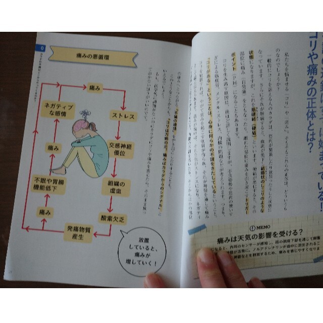 しんぴんさま専用 コリと痛みの地図帳 プロが教えるマッサージの処方箋72