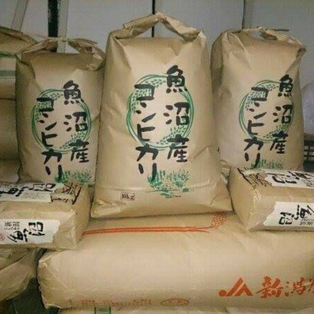 お歳暮　南魚沼産コシヒカリ　しおざわ西山地区　令和2年産玄米20㎏　62.0%OFF