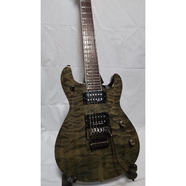 Fernandes - FERNANDES フェルナンデス APG-85S サスティナー Fernandes - FERNANDES フェルナンデス APG-85S サスティナー
