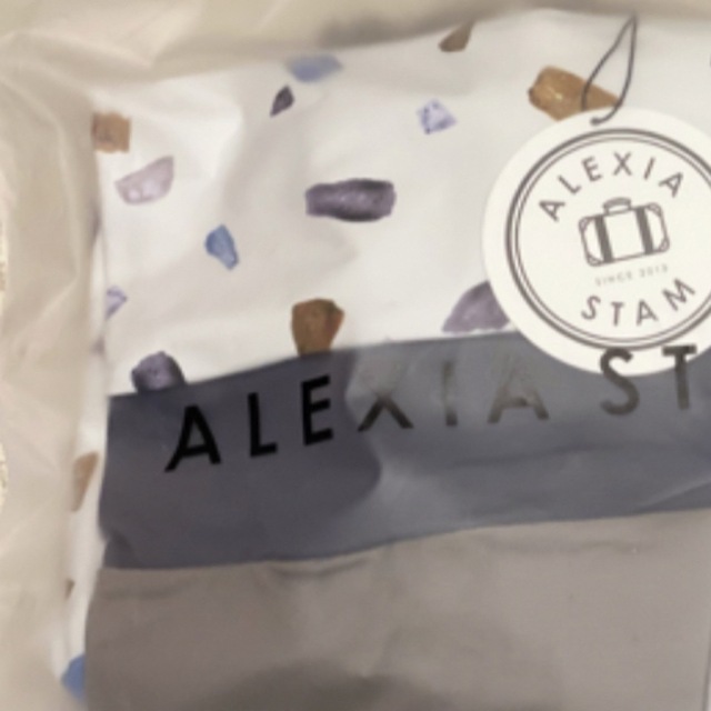 ALEXIA STAM - アリシアスタン Alana ラッシュワンピ Lサイズ ALEXIA STAM - アリシアスタン Alana ラッシュワンピ Lサイズ
