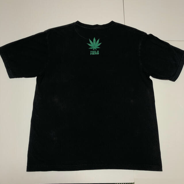 Hanes(ヘインズ)のHanes This is Herb Tshirt メンズのトップス(Tシャツ/カットソー(半袖/袖なし))の商品写真