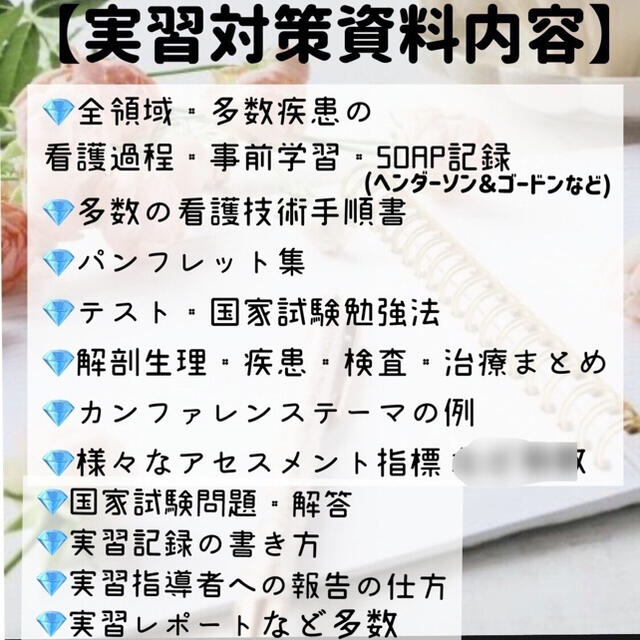 2個以上購入で送料無料 看護実習 看護過程 アセスメント 看護目標 看護