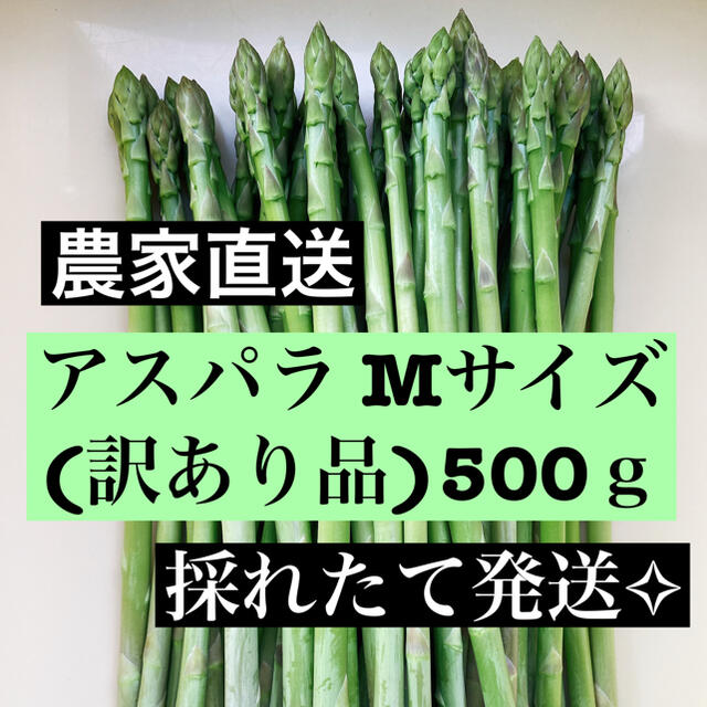 アスパラ Ｍサイズ(訳あり品)数量限定値下げ中 食品/飲料/酒の食品(野菜)の商品写真