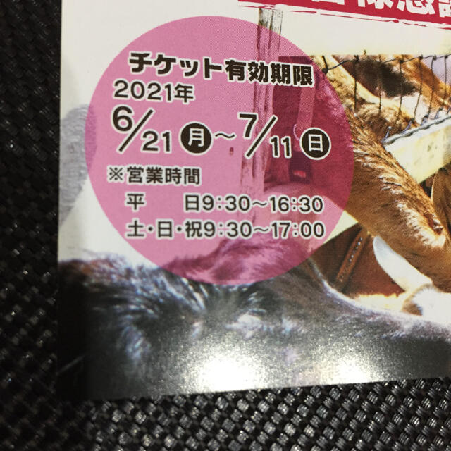 成田ゆめ牧場 未使用 無料ご招待券 5枚 バーベキュー キャンプ チケットの施設利用券(遊園地/テーマパーク)の商品写真