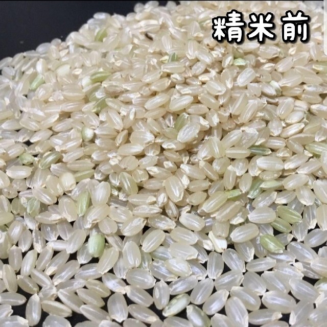【スピード発送】特A 佐賀県産　夢しずく　白米20Kg　米 食品/飲料/酒の食品(米/穀物)の商品写真