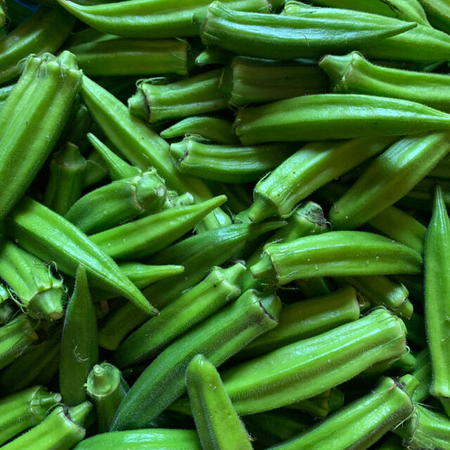 オクラ 訳あり 40本 食品/飲料/酒の食品(野菜)の商品写真