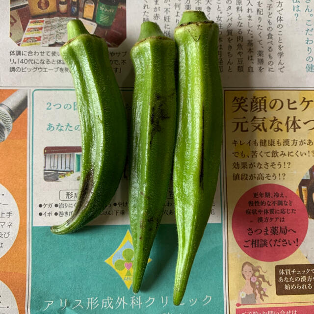 オクラ 訳あり 40本 食品/飲料/酒の食品(野菜)の商品写真