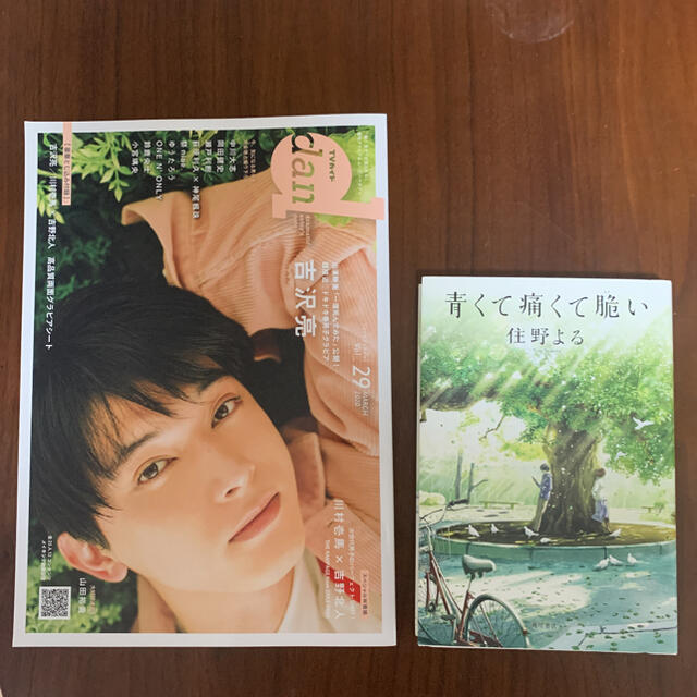 TVガイドdan Vol.29  吉沢亮　青くて痛くて脆い エンタメ/ホビーの本(アート/エンタメ)の商品写真