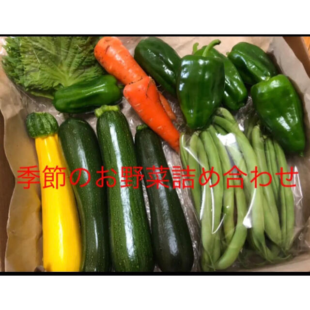 専用です。季節のお野菜詰め合わせ 無農薬 コンパクトボックス 食品/飲料/酒の食品(野菜)の商品写真