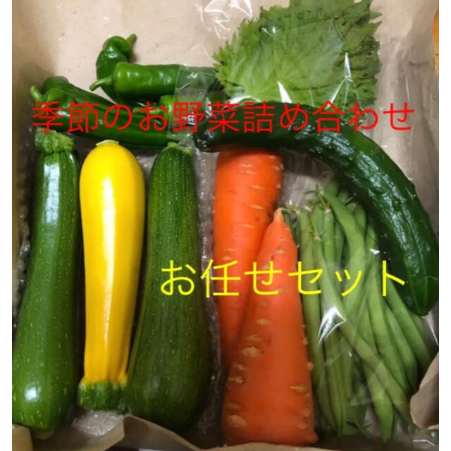 専用です。季節のお野菜詰め合わせ 無農薬 コンパクトボックス 食品/飲料/酒の食品(野菜)の商品写真