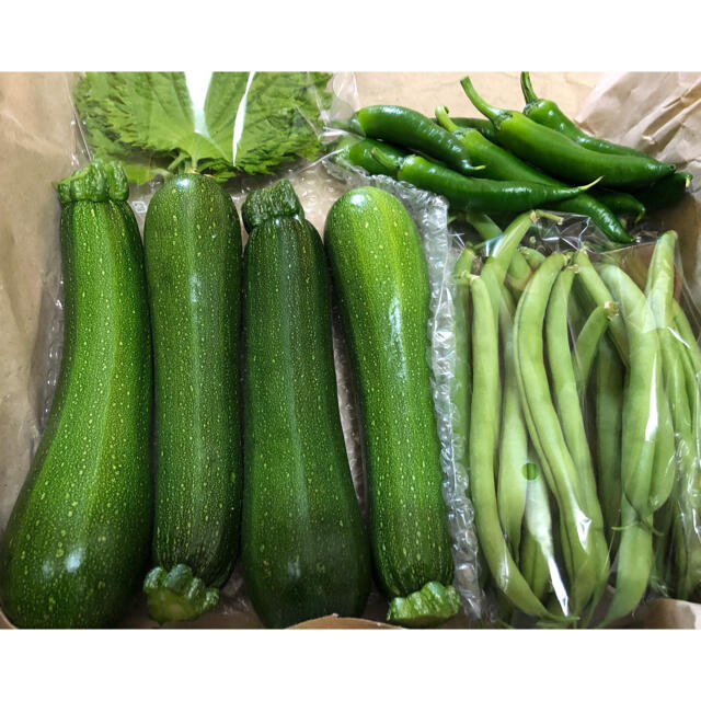 専用です。季節のお野菜詰め合わせ 無農薬 コンパクトボックス 食品/飲料/酒の食品(野菜)の商品写真