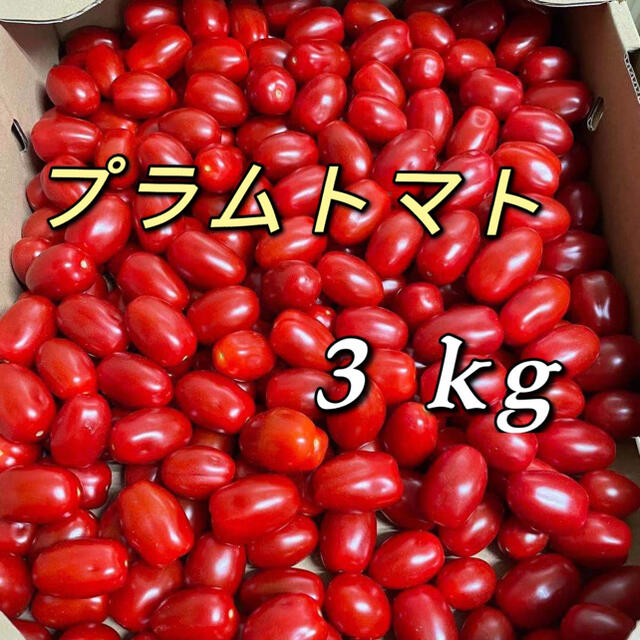 プラムトマト　3kg 食品/飲料/酒の食品(フルーツ)の商品写真