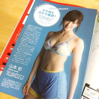 山本彩 トレーニングポス Tarzan 2015年 5/28号 雑誌(その他)