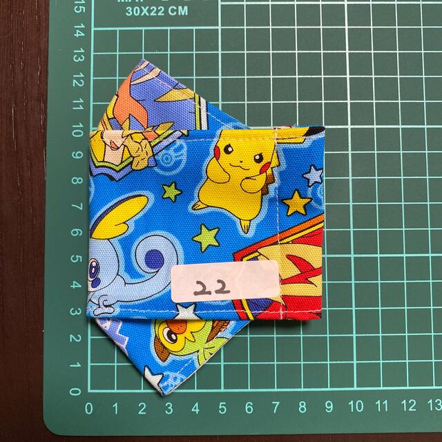 ポケモン(ポケモン)のポケモン　インナーマスク ハンドメイドのキッズ/ベビー(外出用品)の商品写真