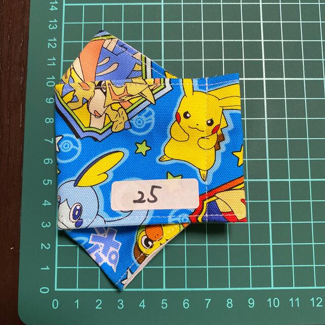 ポケモン(ポケモン)のポケモン　インナーマスク ハンドメイドのキッズ/ベビー(外出用品)の商品写真