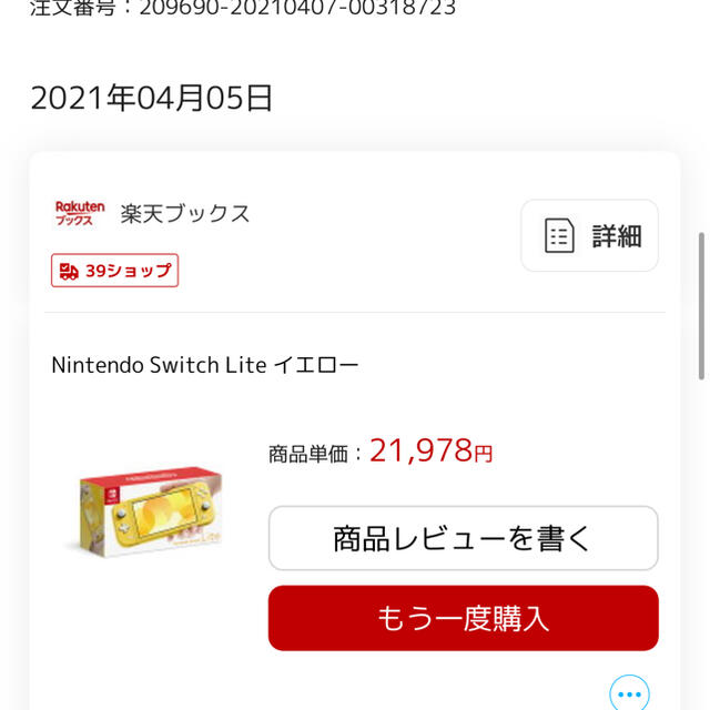 任天堂スイッチライト