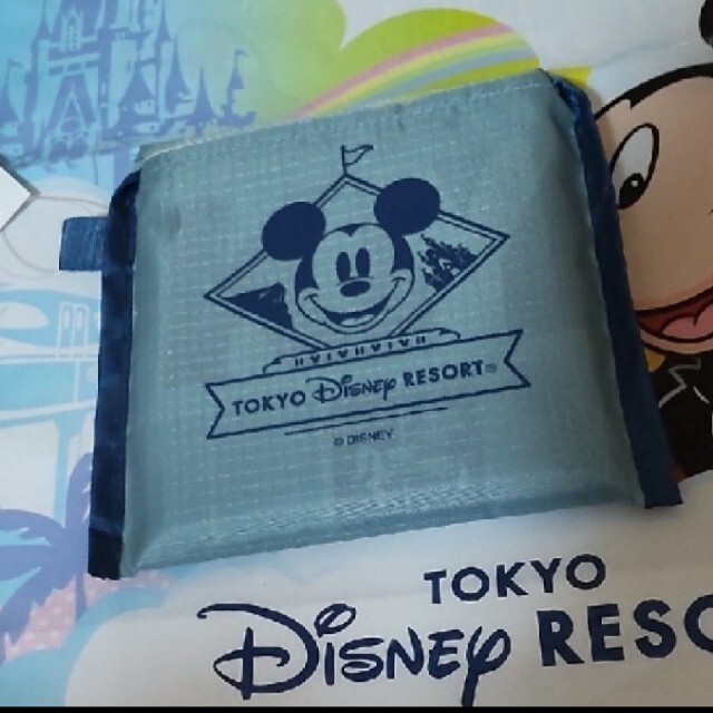 Disney(ディズニー)の新作♡　ディズニー　エコバッグ　マチ付き レディースのバッグ(エコバッグ)の商品写真