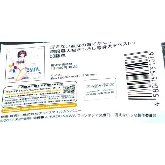 美品 冴えない彼女の育てかた♭加藤恵 水着 深崎暮人描き下ろし等身大
