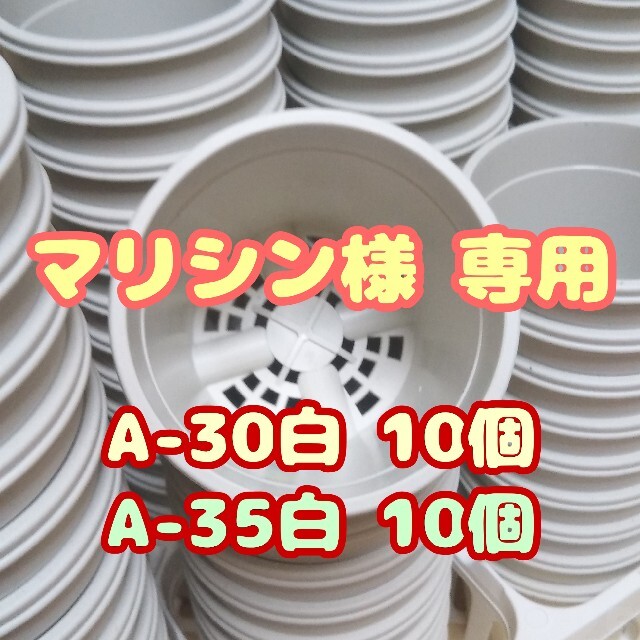 プラ鉢3.5号鉢【A-35】10個 他 スリット鉢 丸 プレステラ 多肉植物 ハンドメイドのフラワー/ガーデン(プランター)の商品写真