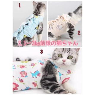 猫術後服Sサイズ2kg〜3kg (猫)