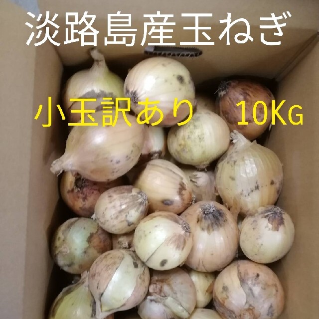 ♦小玉訳あり10Kg♦淡路島玉ねぎ　たまねぎ　玉葱 食品/飲料/酒の食品(野菜)の商品写真