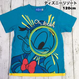 ディズニー(Disney)のディズニーリゾート プリント 半袖Tシャツ ドナルド  120cm(Tシャツ/カットソー)