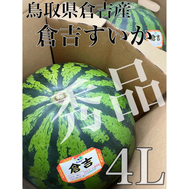 鳥取県倉吉産【鳥取西瓜】秀品　大玉4L 2玉 約20kg！※残り僅か！ 食品/飲料/酒の食品(フルーツ)の商品写真