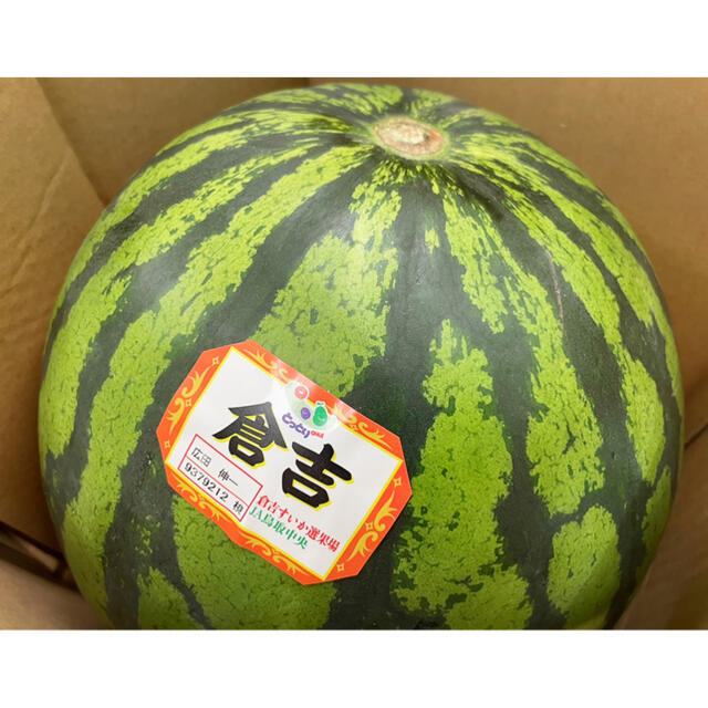 鳥取県倉吉産【鳥取西瓜】秀品　大玉4L 2玉 約20kg！※残り僅か！ 食品/飲料/酒の食品(フルーツ)の商品写真