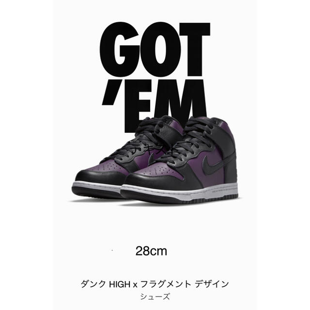 Nike x Fragment Design Dunk Hi 28cm