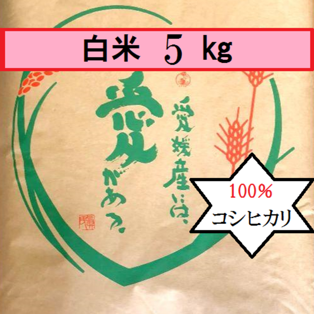 お米　令和２年　愛媛県産コシヒカリ　白米　5㎏ 食品/飲料/酒の食品(米/穀物)の商品写真