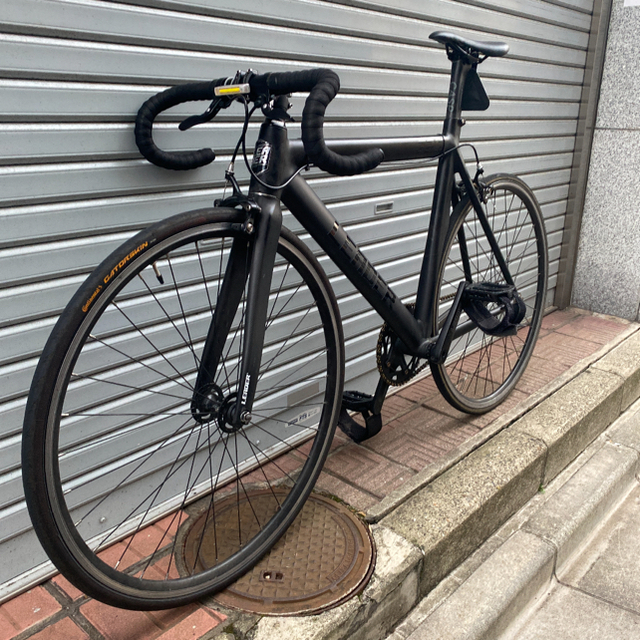 最安値で リーダーバイク 725 直接引き渡し フレームのみ 自転車本体