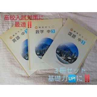 英数国主要3教科 練成ゼミα(語学/参考書)