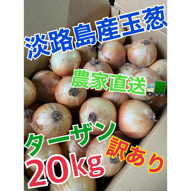 【淡路島産玉葱】品種 ターザン 20kg 訳あり品 食品/飲料/酒の食品(野菜)の商品写真