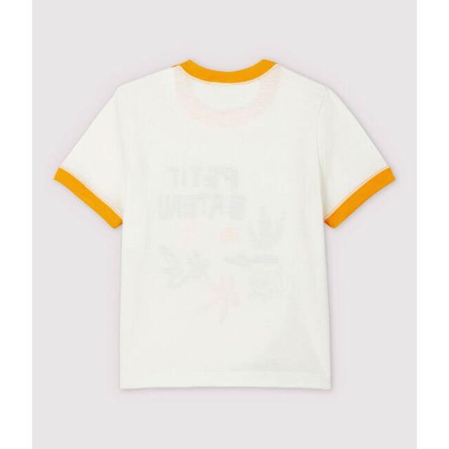 PETIT BATEAU(プチバトー)の新品未使用　プチバトー　18m バイカラープリント半袖Ｔシャツ キッズ/ベビー/マタニティのベビー服(~85cm)(Ｔシャツ)の商品写真