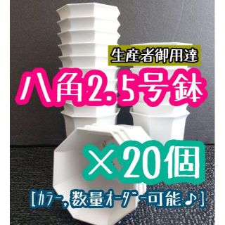 ◎20個◎ホワイト 八角鉢 2.5号 2.5寸 シャトル鉢 (プランター)