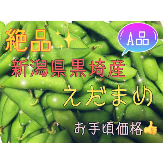 【今年も始まりました！！】新潟県 黒埼産 えだまめ 2kg  A品  食品/飲料/酒の食品(野菜)の商品写真