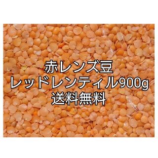 レッドレンティル900g/Red Lentil・赤レンズ豆・乾燥豆(米/穀物)